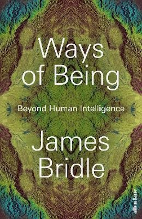 存在的方式：超越人类智能